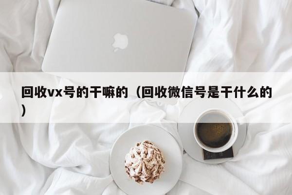 回收vx号的干嘛的（回收微信号是干什么的）