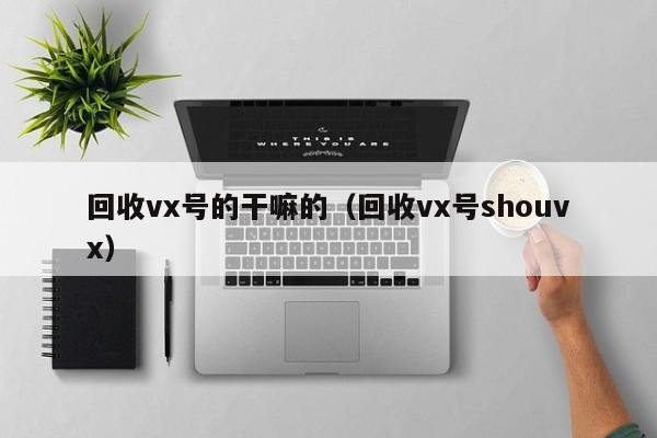 回收vx号的干嘛的（回收vx号shouvx）