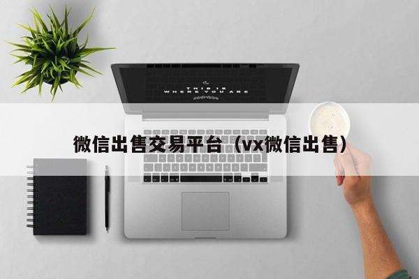 微信出售交易平台（vx微信出售）