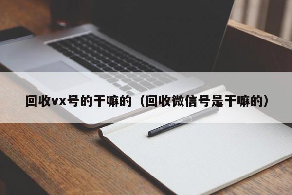 回收vx号的干嘛的（回收微信号是干嘛的）