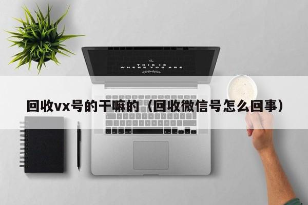 回收vx号的干嘛的（回收微信号怎么回事）